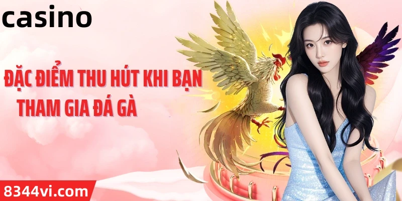Hình ảnh quảng cáo của 1gom hiển thị nền tảng và các lợi ích