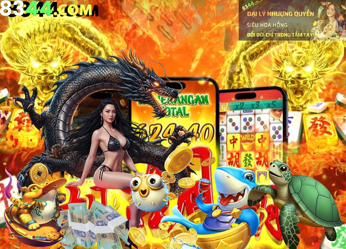 Hình ảnh quảng cáo của 1gom hiển thị nền tảng và các lợi ích